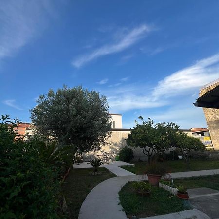 Cycas Villa Cellole Dış mekan fotoğraf
