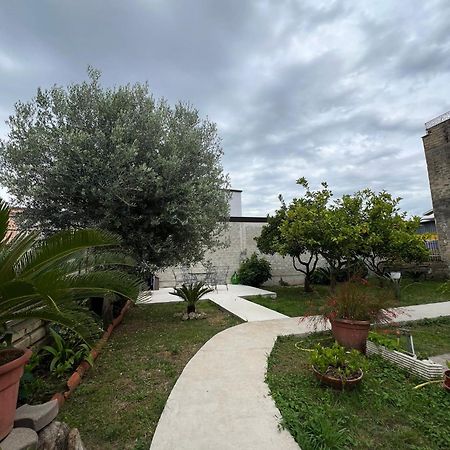 Cycas Villa Cellole Dış mekan fotoğraf