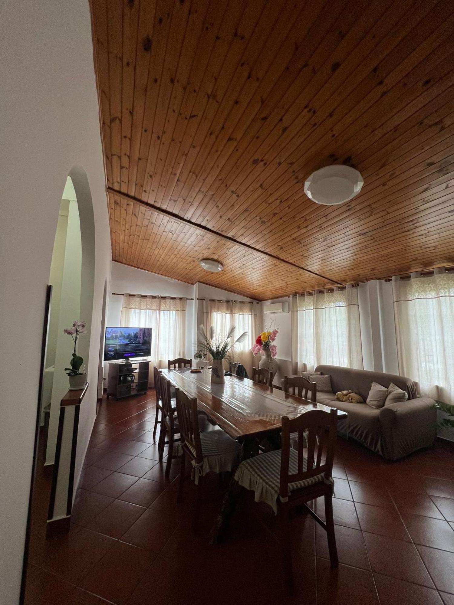 Cycas Villa Cellole Dış mekan fotoğraf